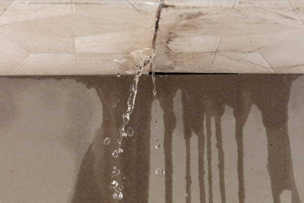 Professional Water Damage Inspection technician working in Dawn, TX